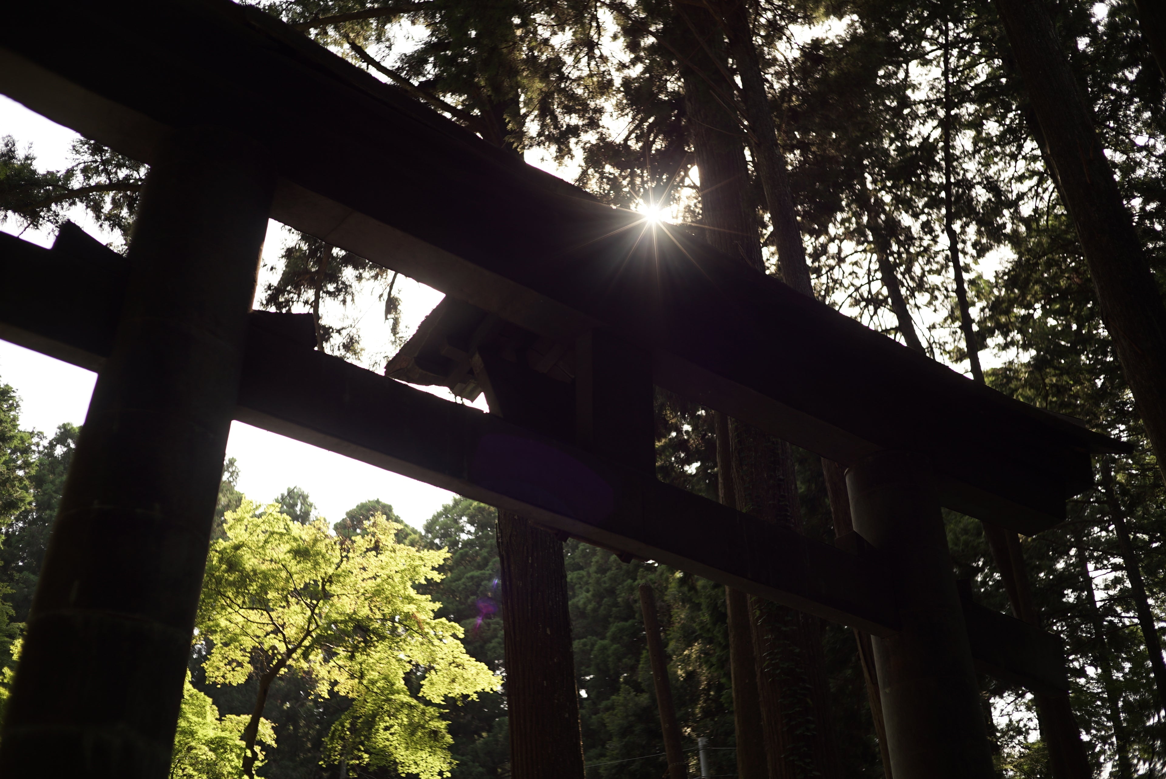 Silhouette of a wooden structure with sun shining through trees